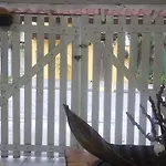 Mar Azul